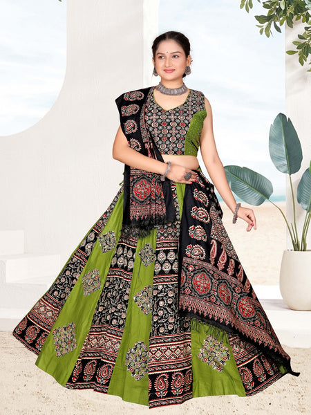 Ajrakh Print Lehenga Choli