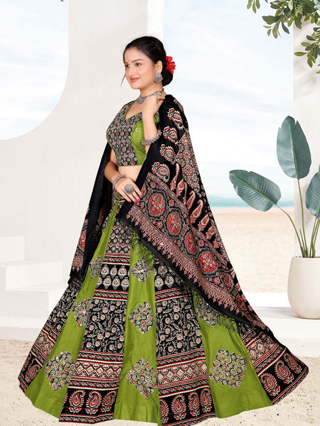 Ajrakh Print Lehenga Choli